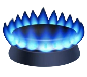 Schandru Gas Service Logo - Professional gas stove repair in Chennai